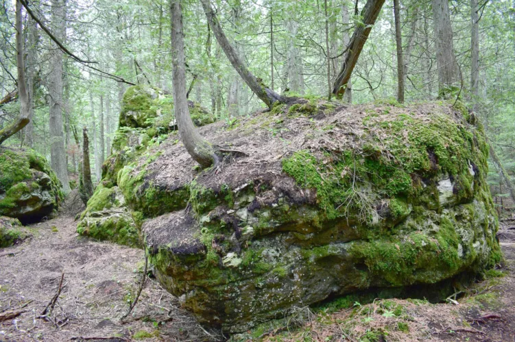 Restoration efforts aim to protect UP’s ‘Narnia Trail’